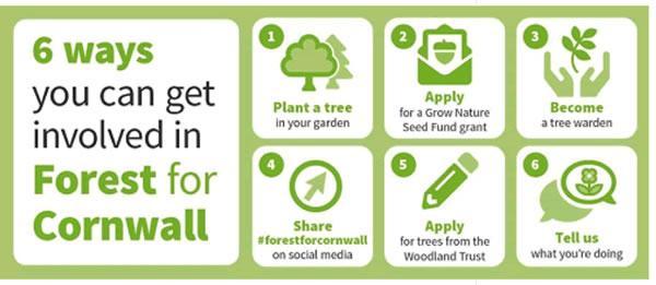 6 ways to get involved in Forest for Cornwall - see text for details